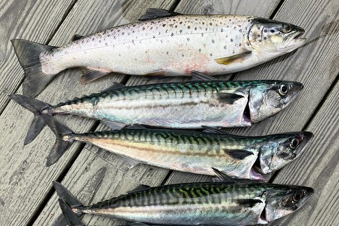 Inshore fishing in the Drangefjord - Setting out from Litlandstrand in Drange