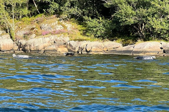 Inshore fishing in the Drangefjord - Learning from Federico, Frederico, Antonio, and Luca