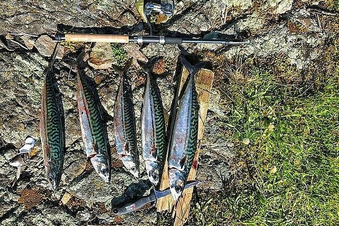 Inshore fishing in the Drangefjord - What the private format is worth at $121.47