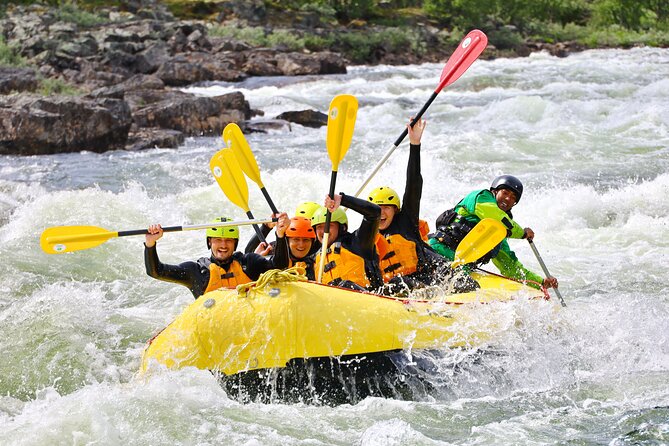 Intermediate Difficulty Level Rafting Experience in Dagali - Who should book this intermediate trip?
