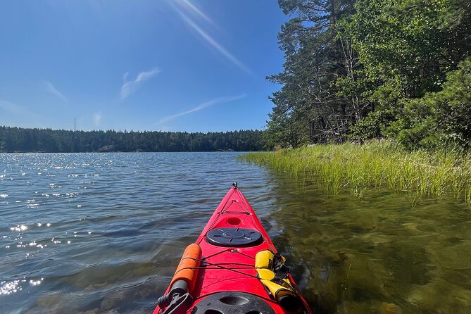 Kayak Tour in the Stockholm Archipelago with Lunch Meal - Wildlife Along the Swedish Shore