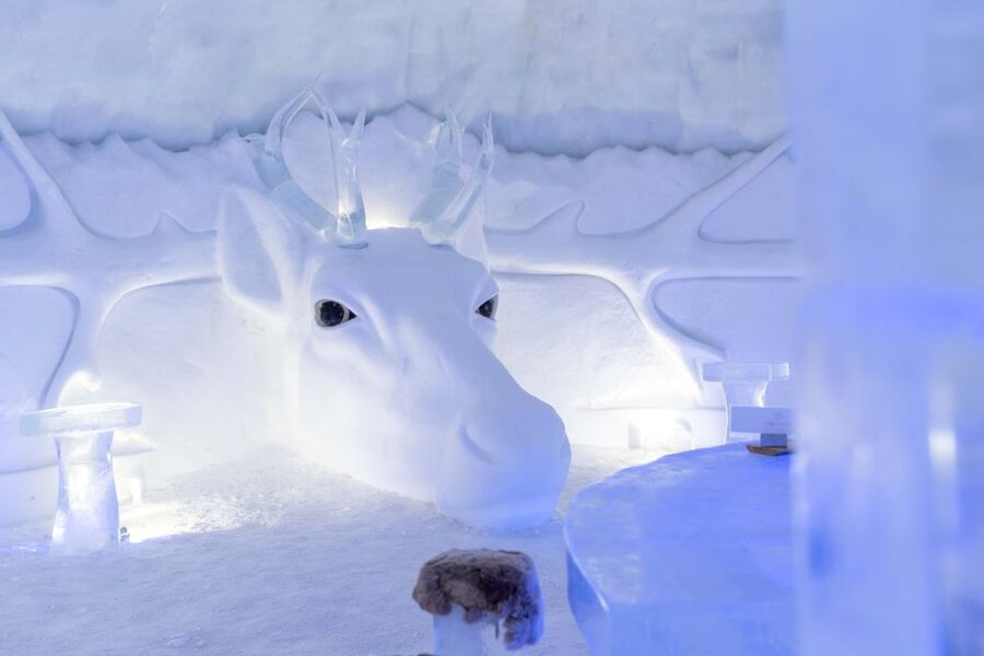 Kirkenes: Snowhotel Entrance Ticket - Inside the 13 ice suites