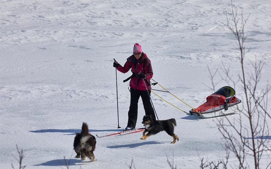 Kiruna: Cross-Country Skiing Tour with a Guide - Key points to know before skiing