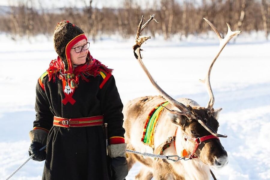 KIRUNA: Sami Reindeer Experience - From Kiruna to the Reindeer Farm in Rávttas