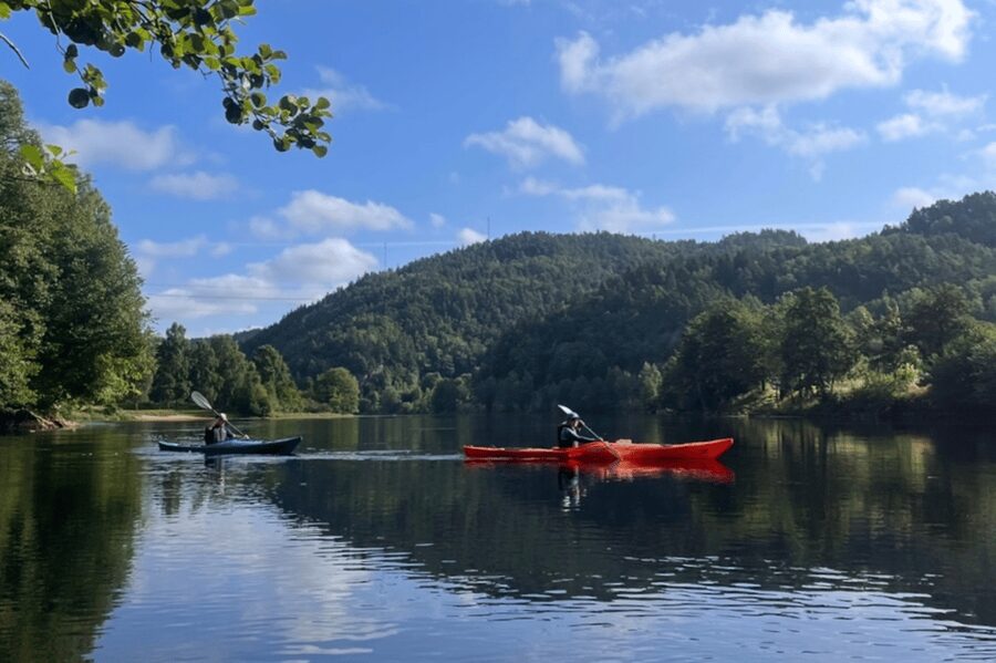 Kristiansand: Otra River Kayaking Adventure - From forest, birds, and wildlife toward the city
