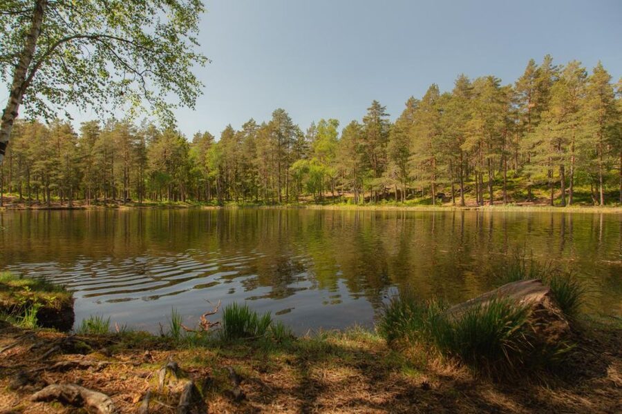 Lake walk and campfire - Key points to know before booking