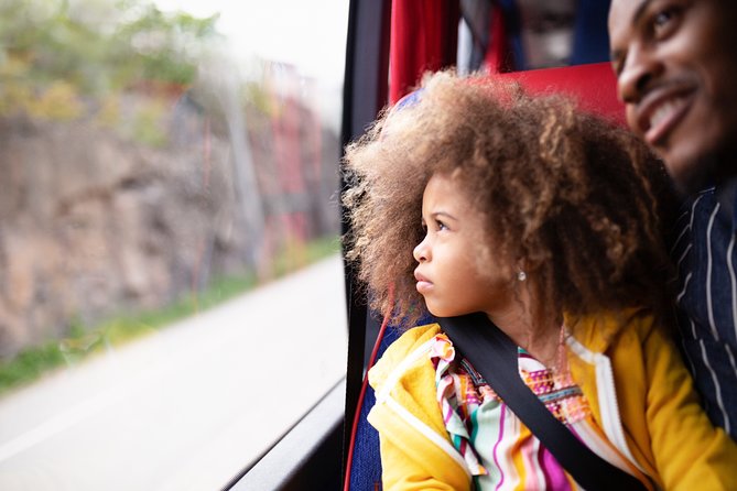 Landvetter Airport Bus Transfer Departure - Who should book this airport bus?