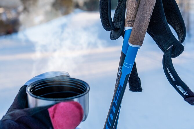 Learn Nordic Skiing - Private Class with Professional Instructor - Why a private class can be worth the extra cost