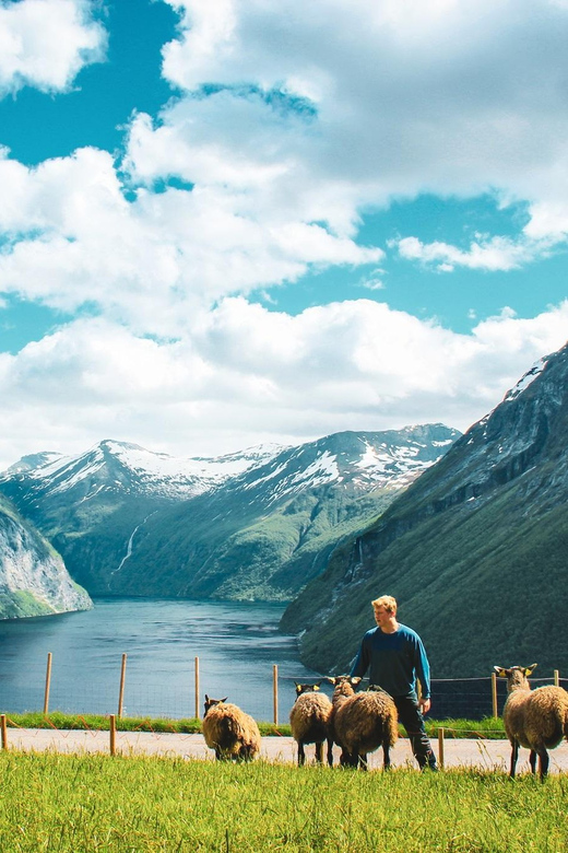 Ljøen, Hellesylt: Ljøen Farm Tour - Waffles, coffee, and a family welcome