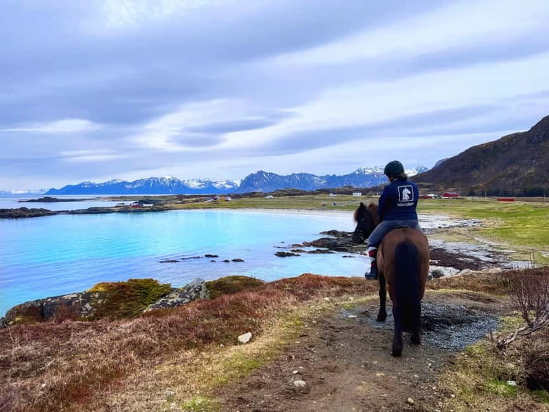 Lofoten: Guided Horse Riding Tour Over Hov and Hovsund - A slow ride through Gimsøya’s coastal setting