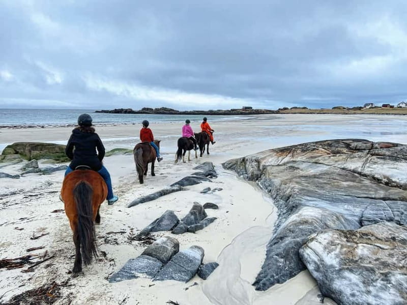 Lofoten: Guided Horse Riding Tour Over Hov and Hovsund - Getting matched with your Icelandic horse