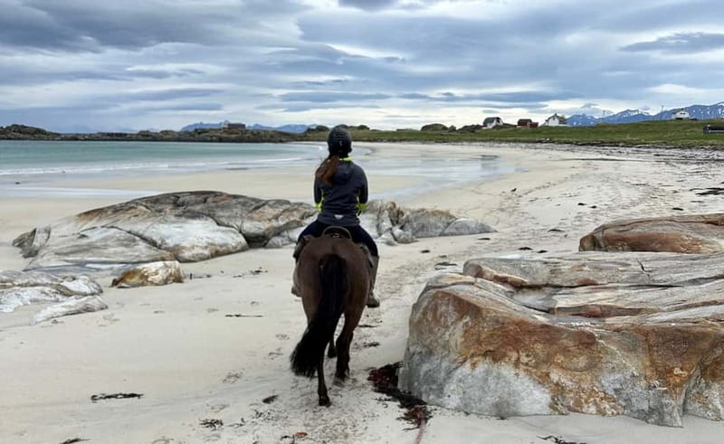 Lofoten: Guided Horse Riding Tour Over Hov and Hovsund - What the $126 price really covers