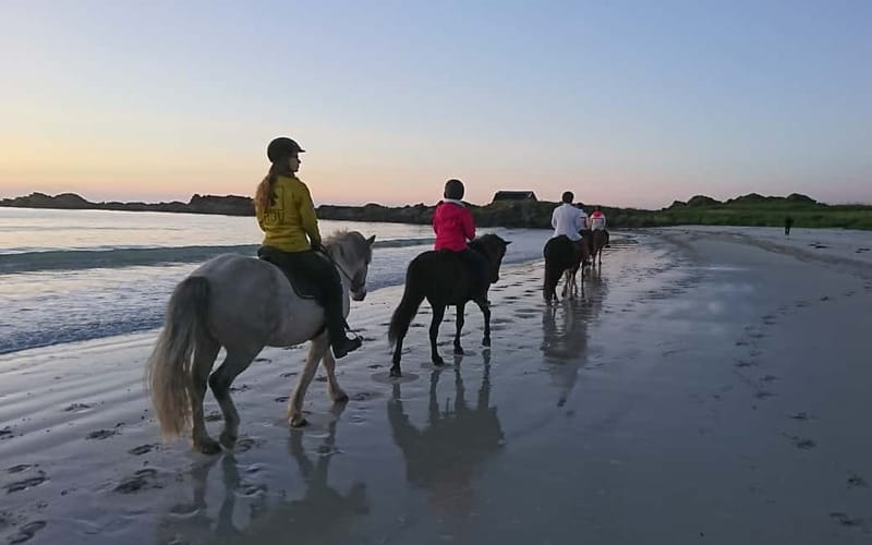 Lofoten: Guided Horse Riding Tour Over Hov and Hovsund - Practical planning for Hov Gård