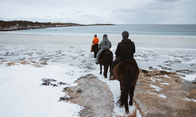 Lofoten: Guided Horse Riding Tour Over Hov and Hovsund - Should you book the Hov coastal ride?