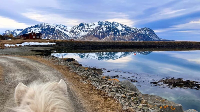 Lofoten: Guided Horse Riding Tour Over Hov and Hovsund - Crossing Hov beach at a relaxed pace