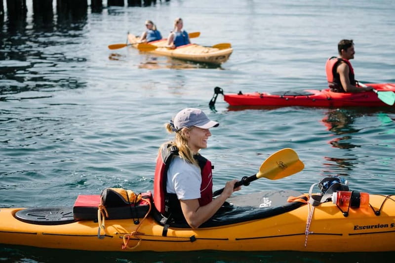 Lofoten: Guided Kayak Experience - Key points before you book