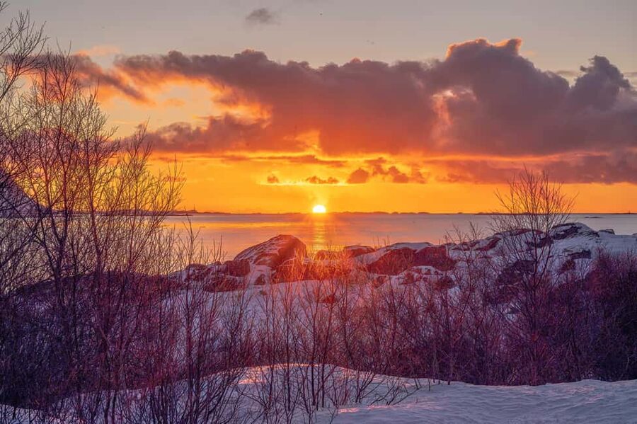 Lofoten: Half-Day Guided Tour with Photo Stops - Henningsvær, the Venice of the North