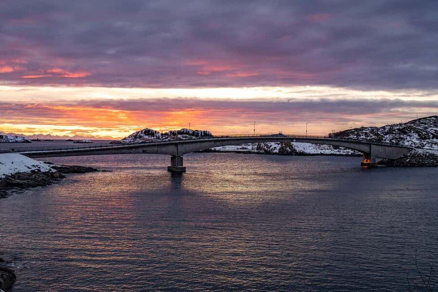 Lofoten: Half-Day Guided Tour with Photo Stops - How much value does the tour offer?