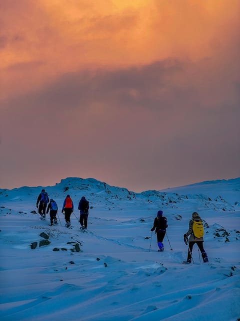 Lofoten: Half Day Snowshoe Tour - Snowshoes, silence, and Lofoten views near Eggum