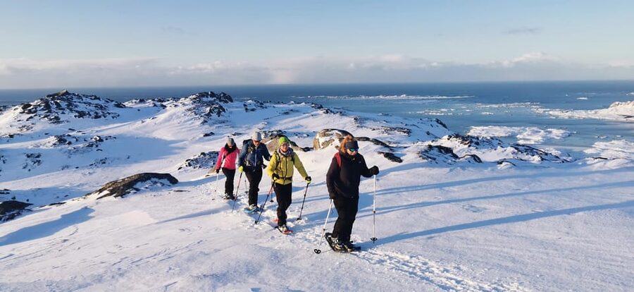 Lofoten: Half Day Snowshoe Tour - Should you book the Eggum snowshoe outing?