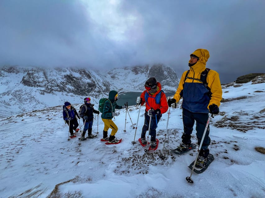 Lofoten: Half Day Snowshoe Tour - Four hours across a changing winter route