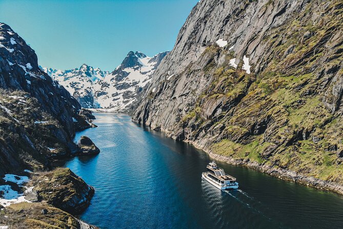 Lofoten Island: Silent Trollfjord Cruise from Svolvær - Key points to know before you go