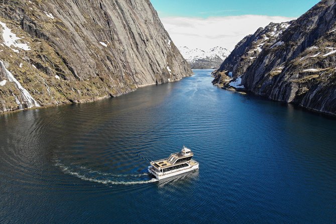 Lofoten Island: Silent Trollfjord Cruise from Svolvær - What the underwater drone adds