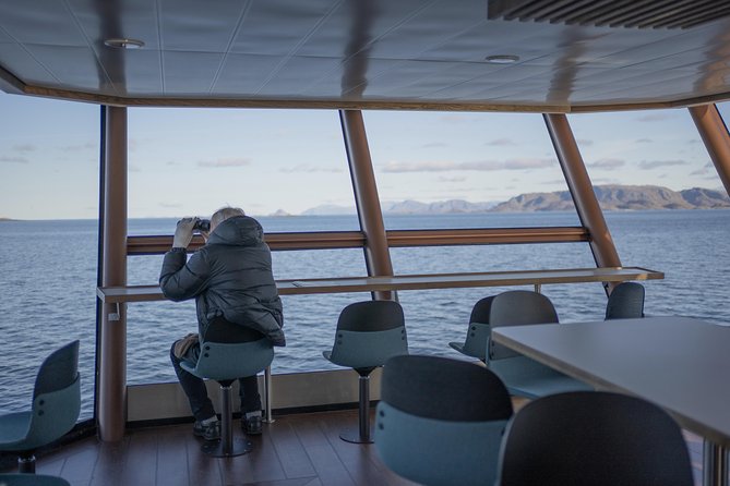 Lofoten Island: Silent Trollfjord Cruise from Svolvær - Food, drinks, and onboard comfort