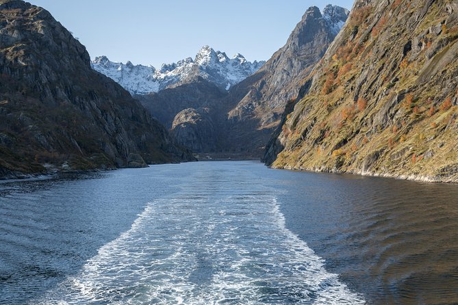 Lofoten Island: Silent Trollfjord Cruise from Svolvær - Timing, parking, and cancellation rules