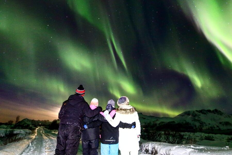 Lofoten: Northern Lights Tour with Photographer - Booking, cancellation, and the weather question