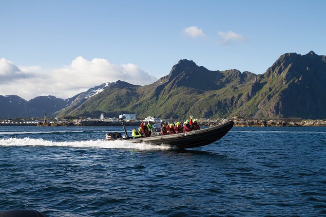 Lofoten RIB Sea Eagle Safari and Trollfjord Cruise - Why Trollfjord works so well from a RIB
