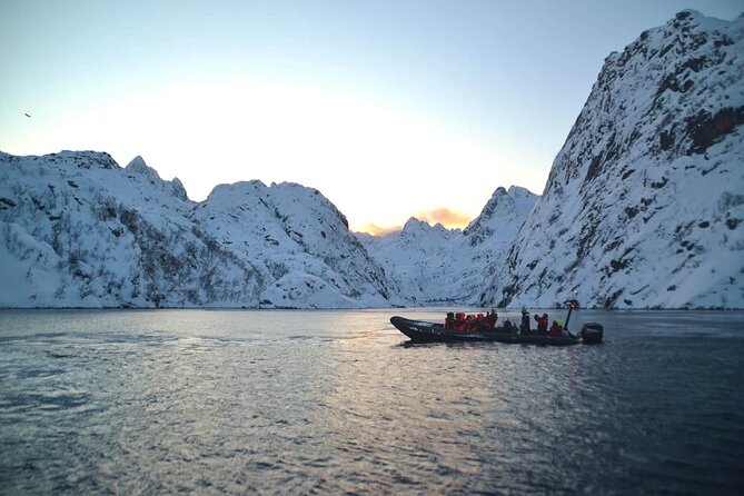 Lofoten RIB Sea Eagle Safari and Trollfjord Cruise - Is $128.94 a fair price?