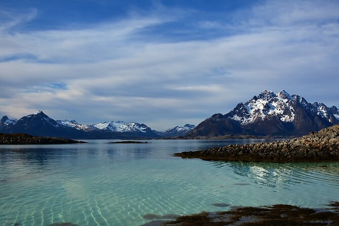 Lofoten RIB Sea Eagle Safari and Trollfjord Cruise - Who should book this Trollfjord trip?