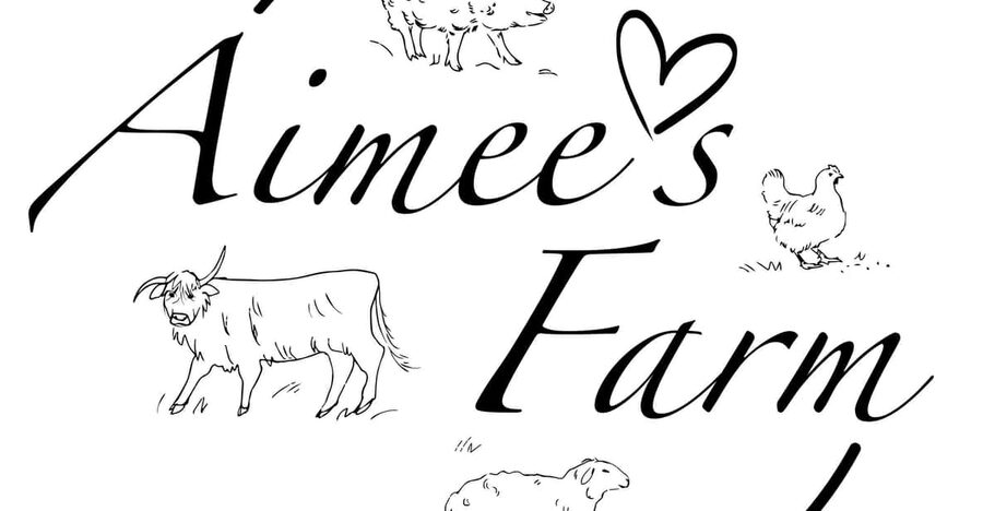 Lofoten (Stamsund and Leknes): Aimees Farm Experience - Meeting the Scottish Highland cattle