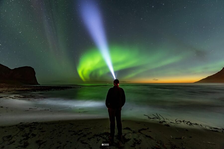 Lofoten: The Aurora Jæger – Northern Lights Hunt with Local - What the high rating means in practical terms