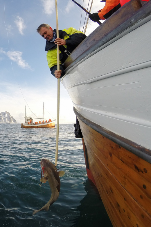 Lofoten: Traditional Fishing Trip - The catch is part of the gamble