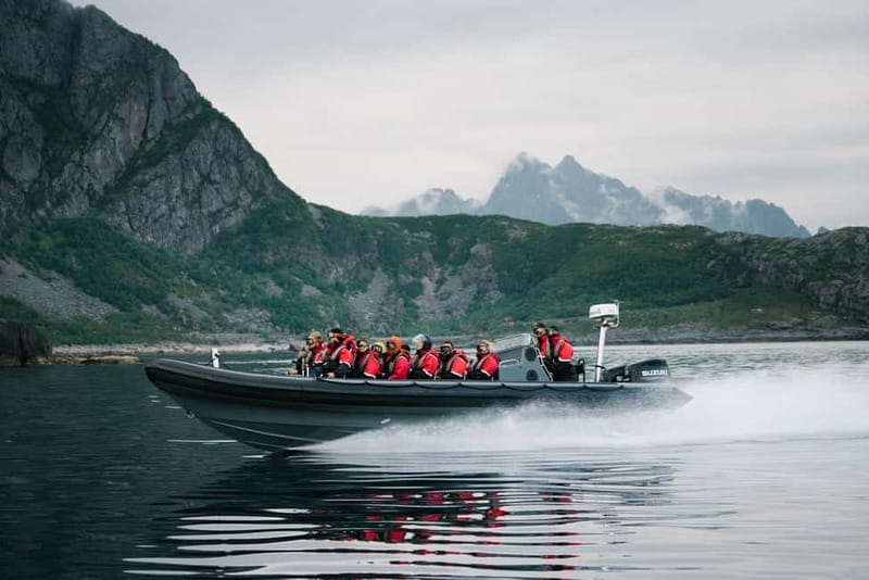 Lofoten: Trollfjord Sea Eagle Safari by RIB Boat - Key things to know before you go