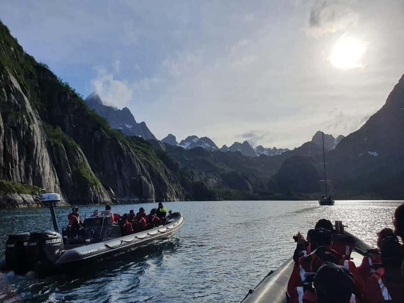 Lofoten: Trollfjord Sea Eagle Safari by RIB Boat - Racing through Raftsundet