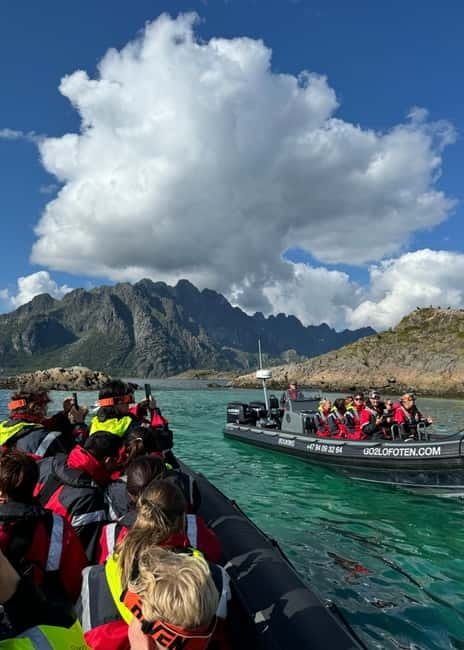 Lofoten: Trollfjord Sea Eagle Safari by RIB Boat - How the ride feels in real weather