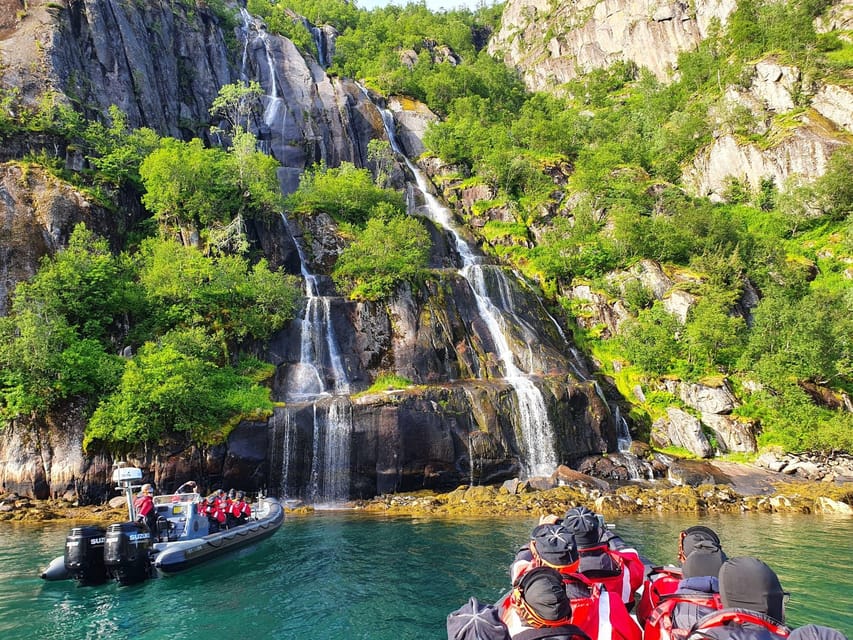 Lofoten: Trollfjord Sea Eagle Safari by RIB Boat - What you get for $97