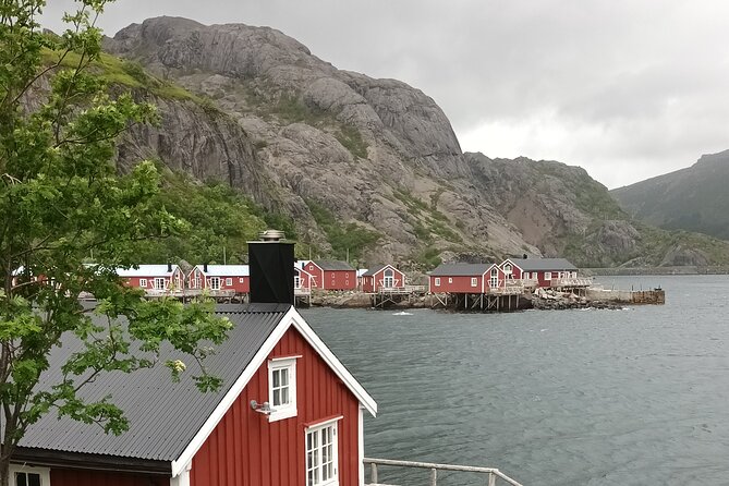 Lofoten VIP PRIVATE Tour from Leknes city / port - Why this private Lofoten route works well