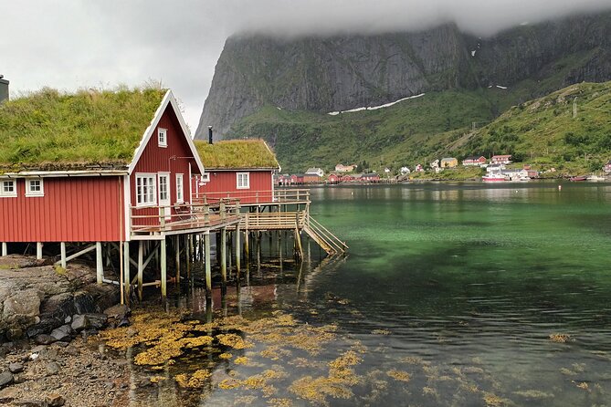 Lofoten VIP PRIVATE Tour from Leknes city / port - Is the $526.48 price good value?
