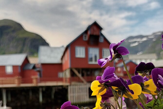 Lofoten VIP PRIVATE Tour from Leknes city / port - Haukland Beach and the first coastal views
