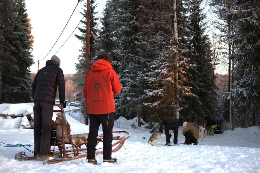 Luleå: Guided Dog Sledding Tour - Coffee by the open fire in the grill hut