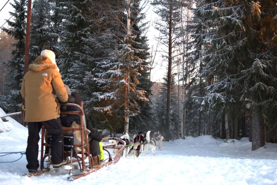 Luleå: Guided Dog Sledding Tour - Clothing, weather, and comfort