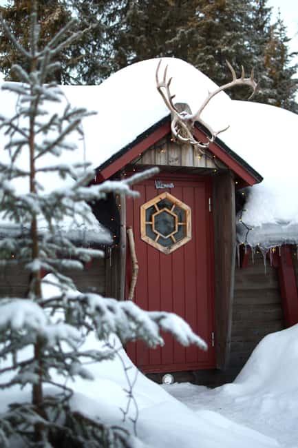 Luleå: Guided Dog Sledding Tour - Who should book this experience?