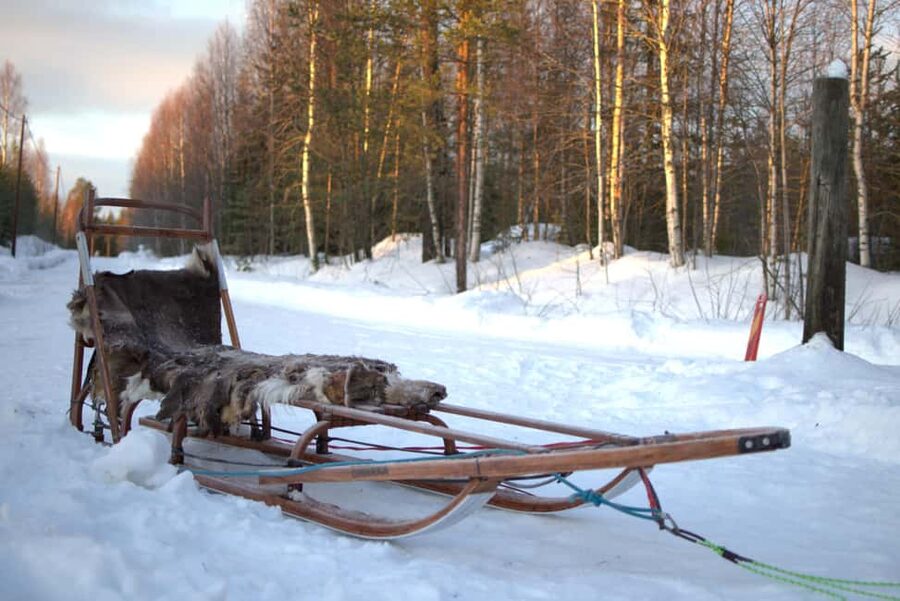 Luleå: Guided Dog Sledding Tour - Should you book the Ale dog sledding tour?