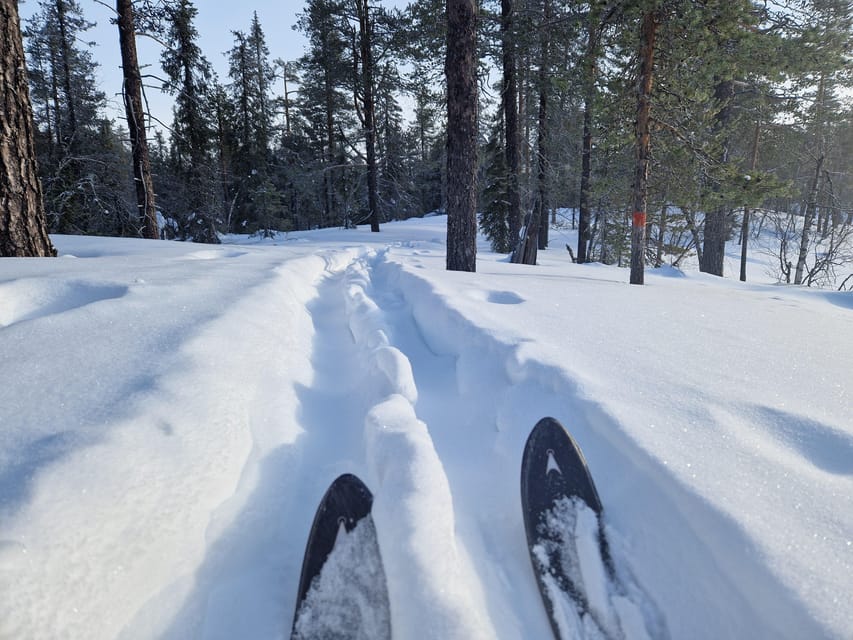 Luleå: Nordic Touring Skiing Adventure - Meeting Henrik at Hagahamnsvägen 381