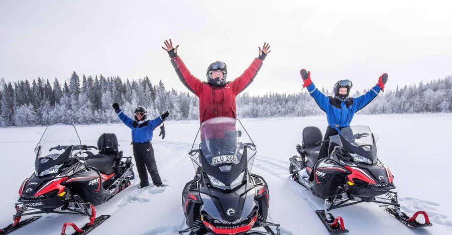 Luleå : Snowmobile - Forest and Ice Nature Tour 2h - A snowmobile route from forest to frozen sea