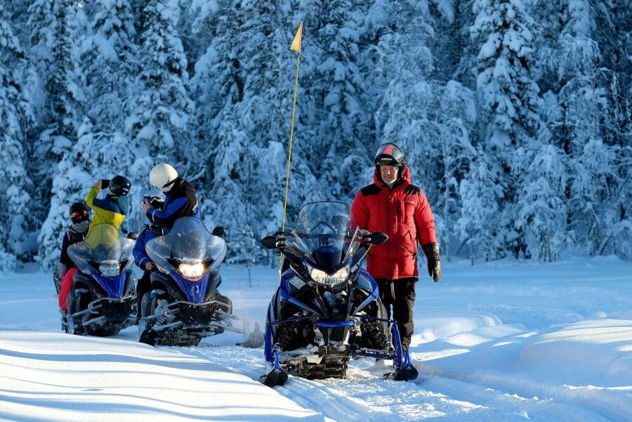 Luleå : Snowmobile - Forest and Ice Nature Tour 2h - Local guides make the setting easier to understand